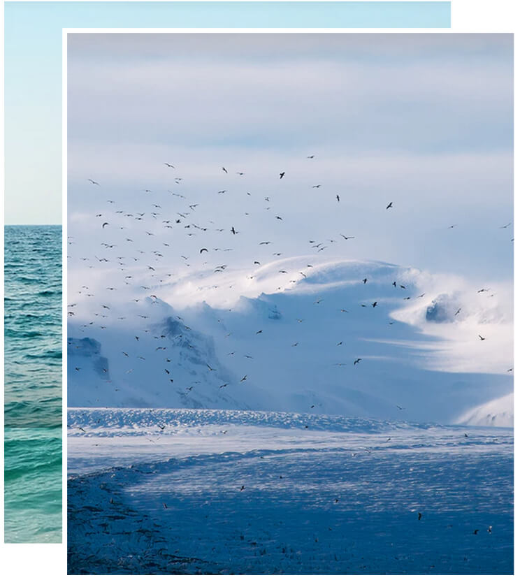 买球科技视觉方案呈现